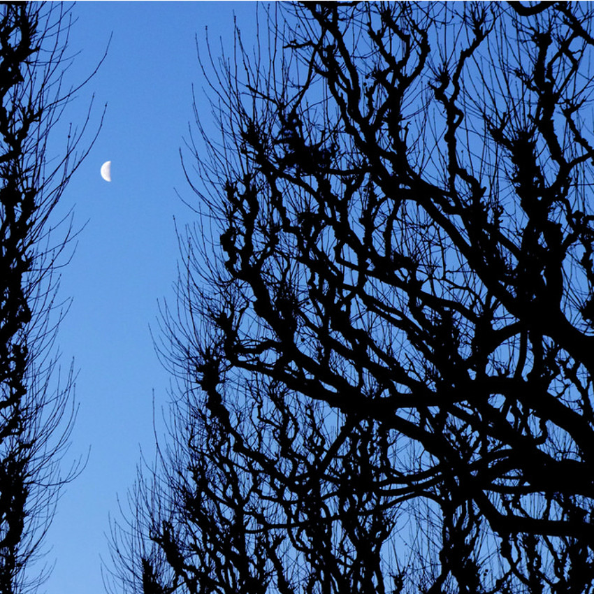 Luna Menguante luna menguante