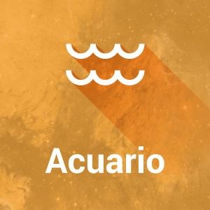 los signos y el trabajo: acuario