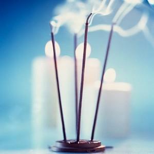 Jardín de los sentidos de Acuario