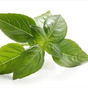 amuleto para atraer dinero y prosperidad para cada signo - geminis