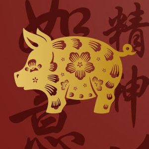 Horóscopo Chino Cerdo o Jabalí ¿Qué animal soy en el horóscopo chino? - Horóscopo Chino Cerdo o Jabalí