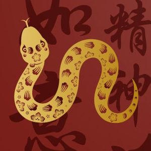 Horóscopo Chino Serpiente ¿Qué animal soy en el horóscopo chino? - Horóscopo Chino Serpiente