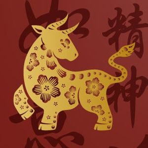 Horóscopo Chino Bufalo o Buey ¿Qué animal soy en el horóscopo chino? - Horóscopo Chino Bufalo o Buey