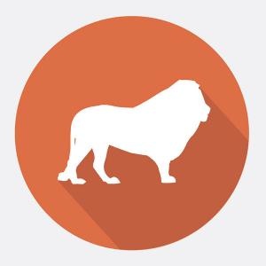 Tarot 2019 para Leo Tarot 2019 para Leo