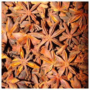 Jardín de los sentidos de Leo