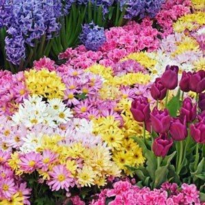 Jardín de los sentidos de Sagitario