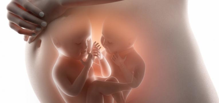 leyenda de las gemelas