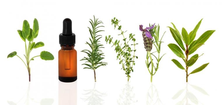 Aceite esencial de romero