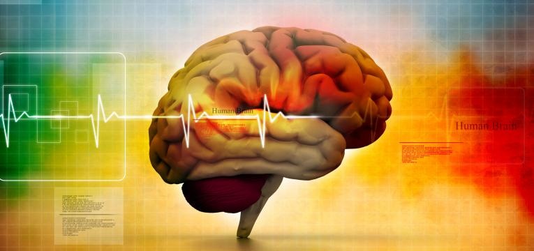 bioprogramacion bioprogramacion