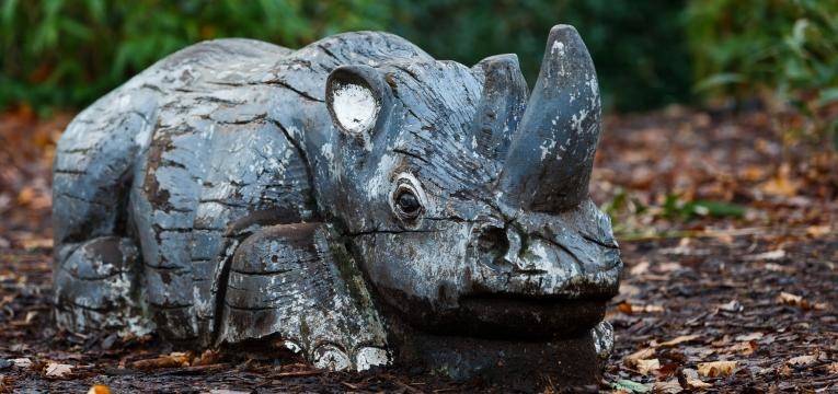 Rinoceronte Azul Rinoceronte Azul