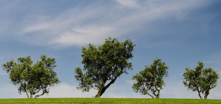 Algunas teorías sobre la cruz celta Algunas teorías sobre la cruz celta