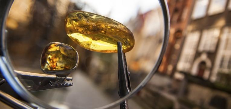 collar de amber collar de ámbar