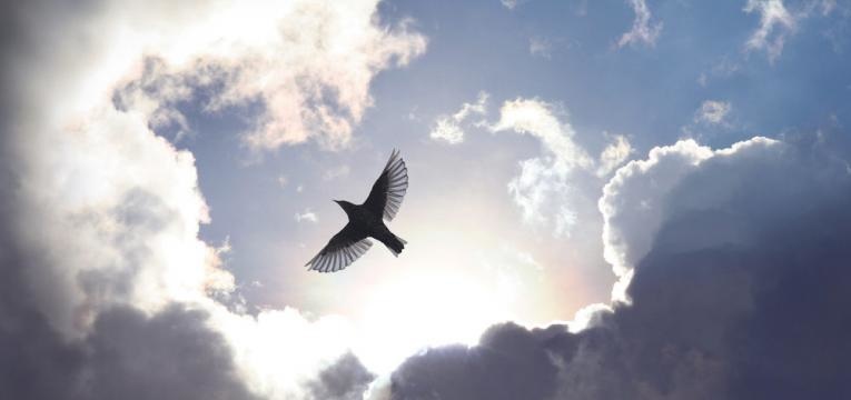 Ángel Mihael Ángel Mihael