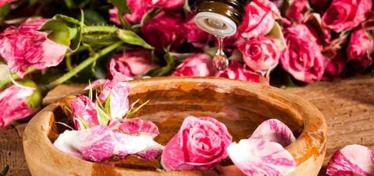 terapia floral terapia floral