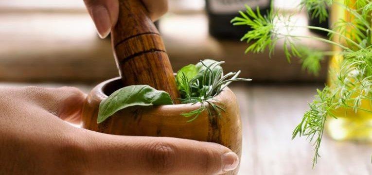 Beneficios medicinales de la albahaca