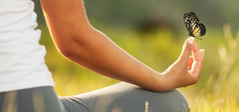 Biorritmos Biorritmos