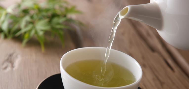 caléndula caléndula