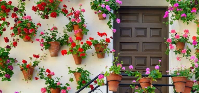 ¿Cuales flores se utilizan en la terapia de flores de Saint Germain?