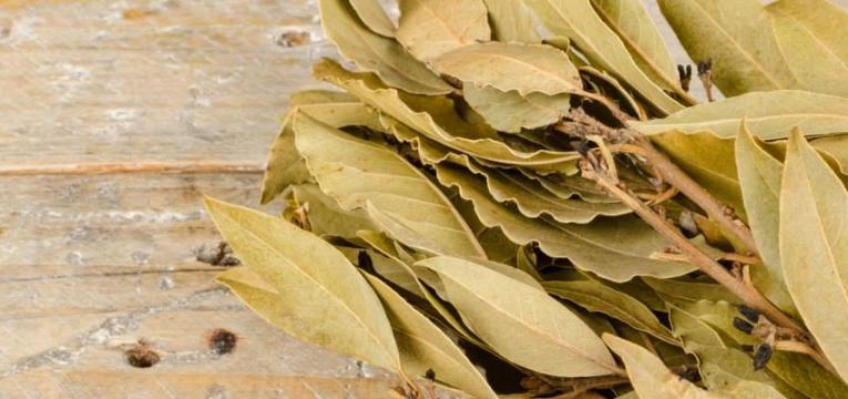 Como realizar hechizos con laurel para perdurar la relación Como realizar hechizos con laurel para perdurar la relación