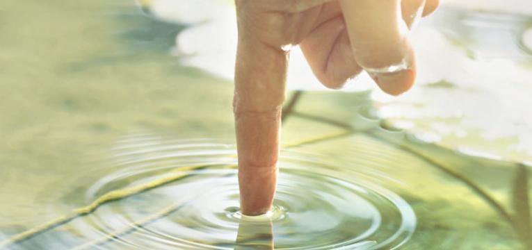 Compatibilidad de los elementos naturales