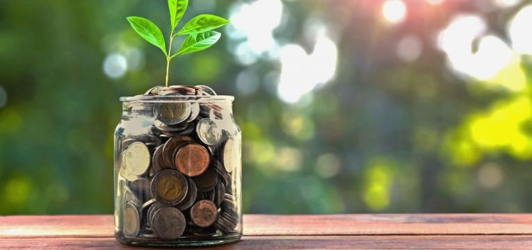 arbol de billetes árbol de billetes