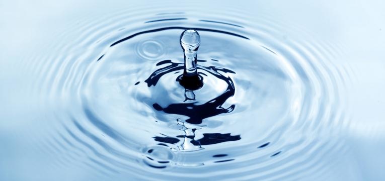 Descubre la magia de los elementales