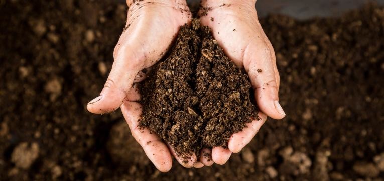 Descubre la magia de los elementales