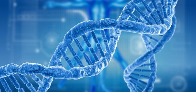 medicina ortomolecular medicina ortomolecular