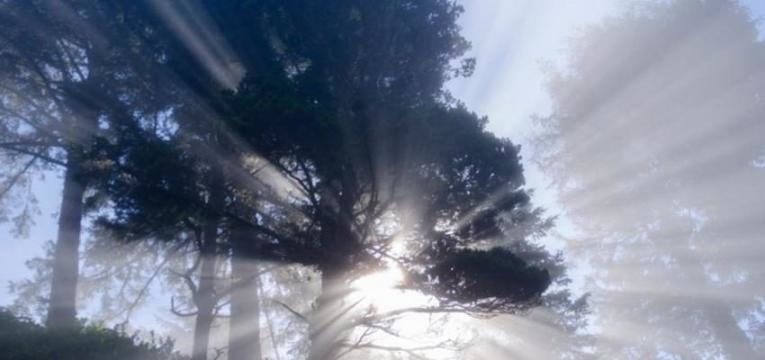 Elegua: quien abre los caminos Elegua: quien abre los caminos