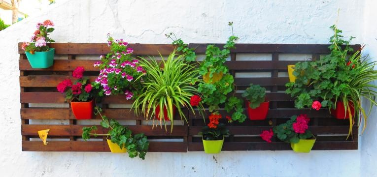 Horóscopo de las Flores