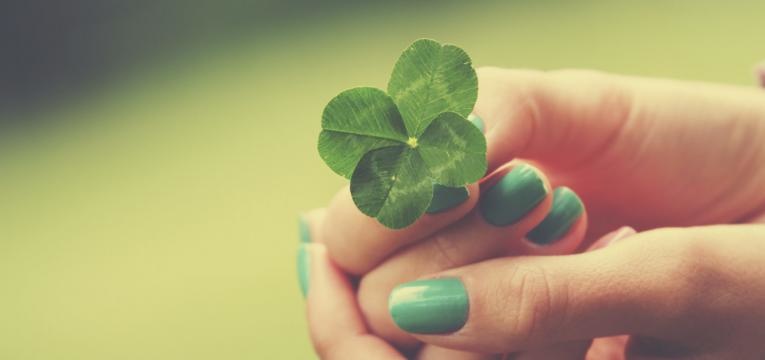 trébol de 4 hojas trébol de cuatro hojas