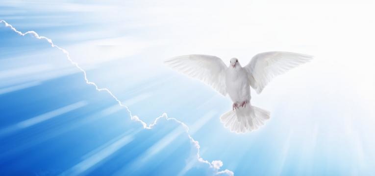 Comienzo del día del Ángel de la Guarda Comienzo del día del Ángel de la Guarda