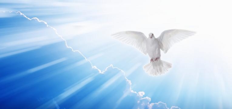 San Isidro labrador, quita el agua y pon el sol san isidro labrador