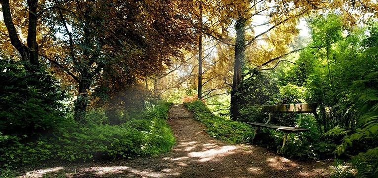 La llegada al presente de las Ninfas La llegada al presente de las Ninfas