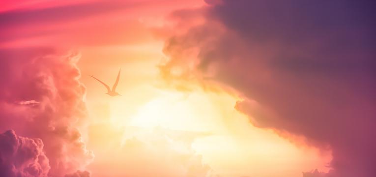 La Santería y el plumero de Oyá La Santería y el plumero de Oyá