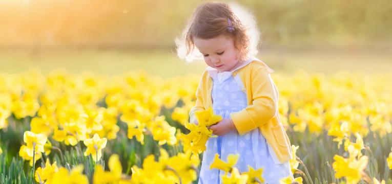 virgo Características de los niños Virgo