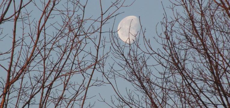 luna en la casa 9 luna en la casa 9