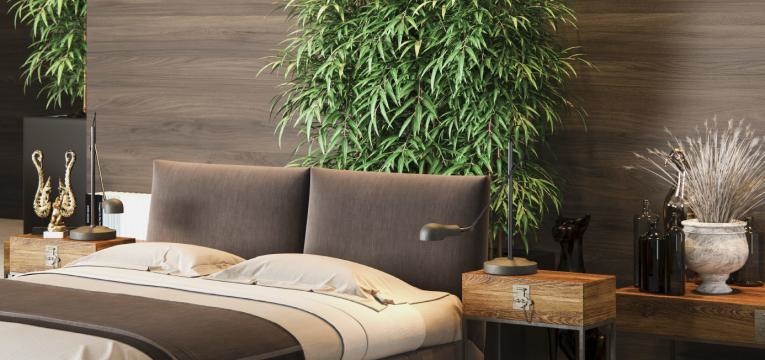 Escuela de las Formas