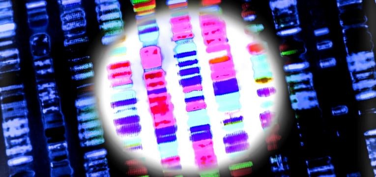 MEDICINA GENÓMICA MEDICINA GENÓMICA