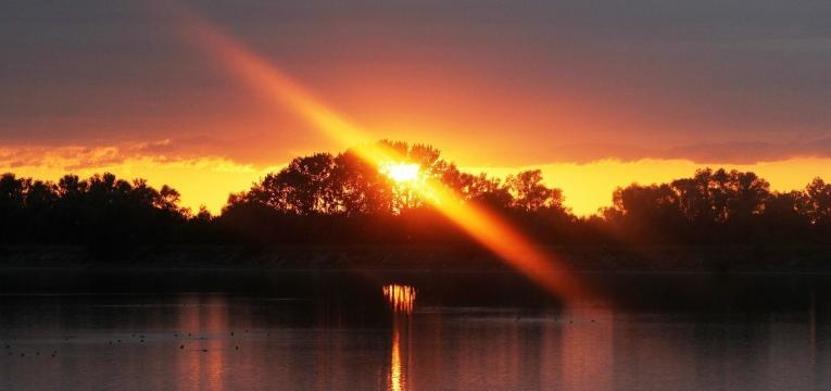 Rebirthing Rebirthing