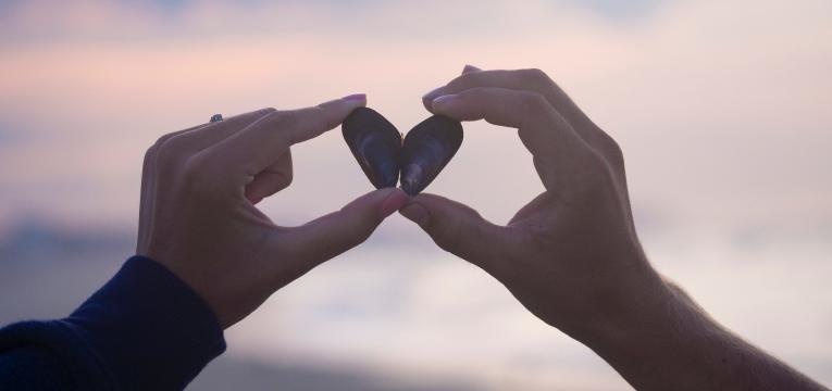 dhammo sanantano dhammo sanantano