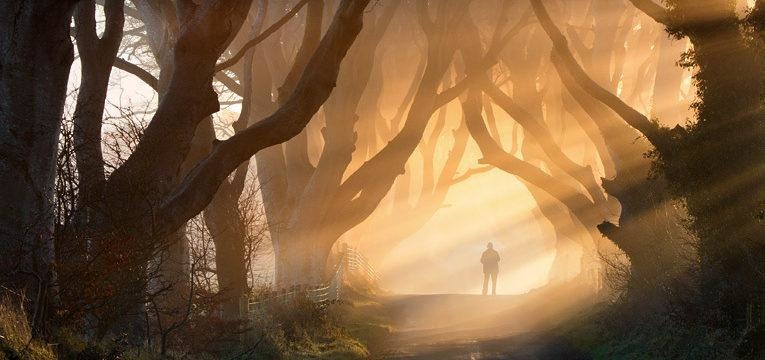 palo mayombe palo mayombe