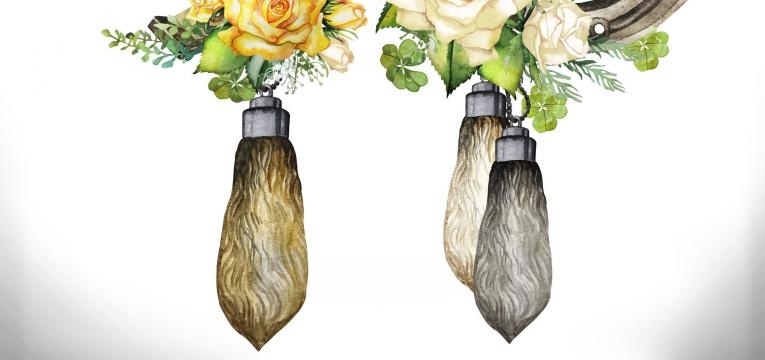 Origen de la leyenda sobre la pata de conejo Origen de la leyenda sobre la pata de conejo