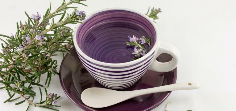 Propiedades del romero para la suerte Propiedades del romero para la suerte