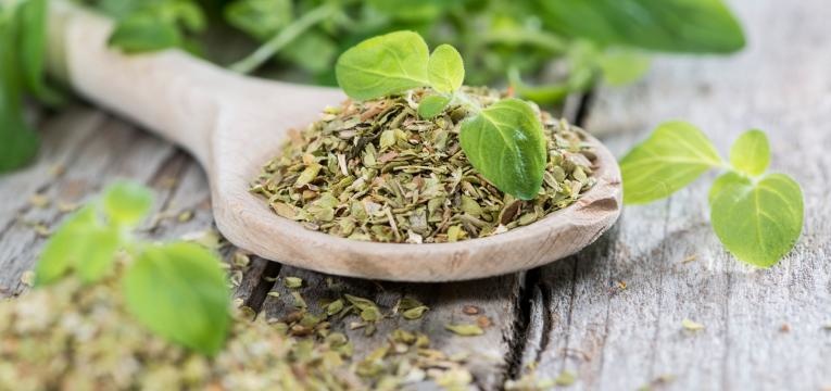 ¿Qué es el orégano? ¿Qué es el orégano?