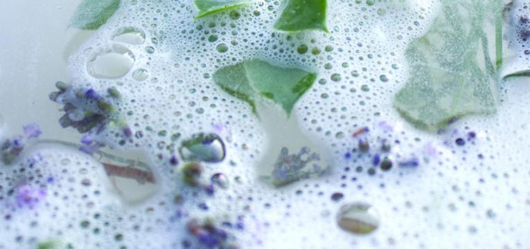 Qué se necesita para hacer los baños de romero para la suerte Qué se necesita para hacer los baños de romero para la suerte