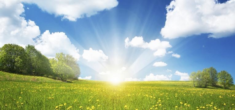 rayo amarillo rayo amarillo