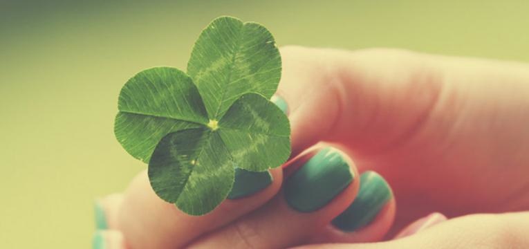 Conoce cómo evitar la mala suerte Conoce cómo evitar la mala suerte