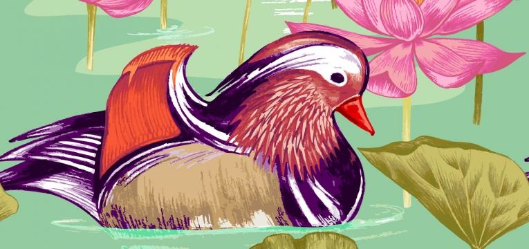 Consejos para el Feng Shui