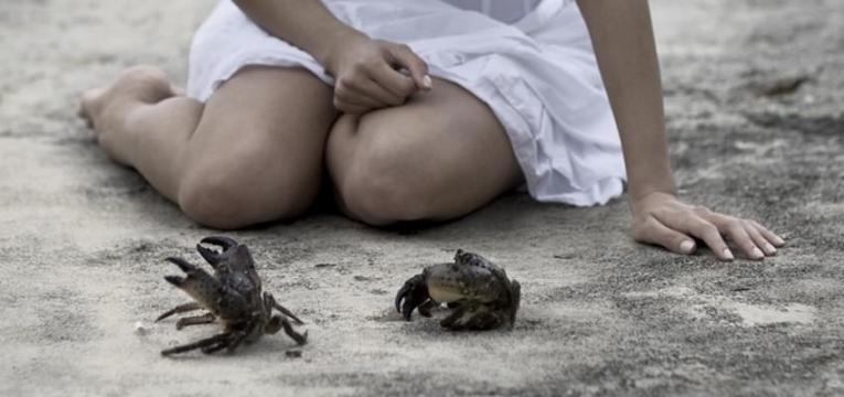 Signos de Agua: Cáncer Signos de Agua: Cáncer